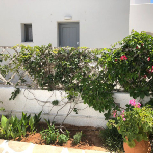 Paros Accommodation